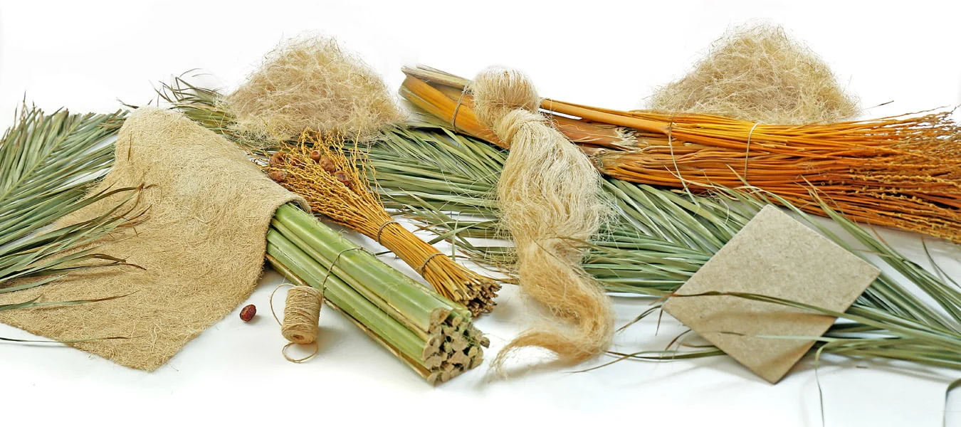 Research and Innovation